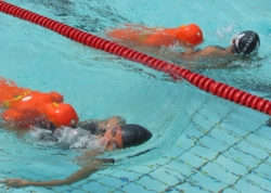 Swimmers